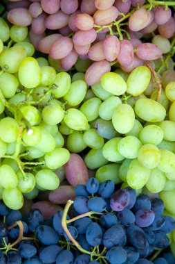 Üzümlerin yakından görünümü Bir sürü olgun üzüm. Doku