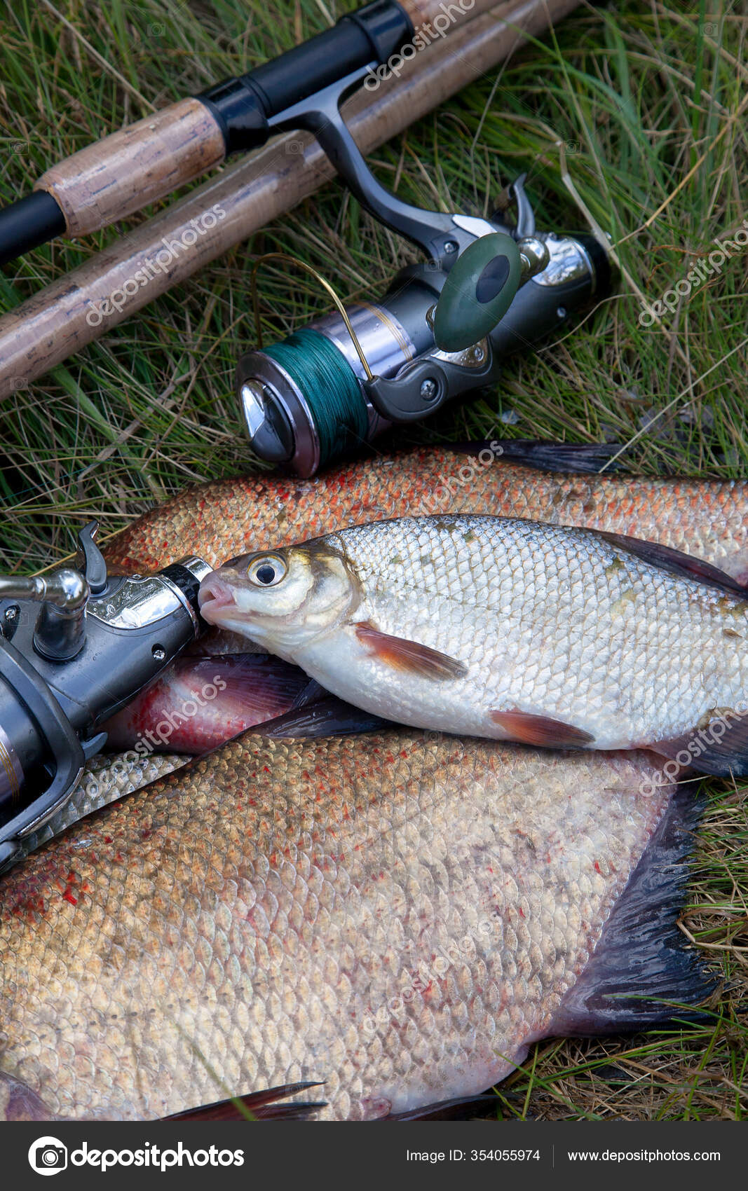green fishing rod and reel