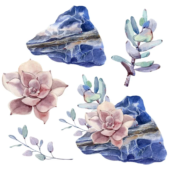 보석 및 succulents 설정 수채화. — 스톡 사진