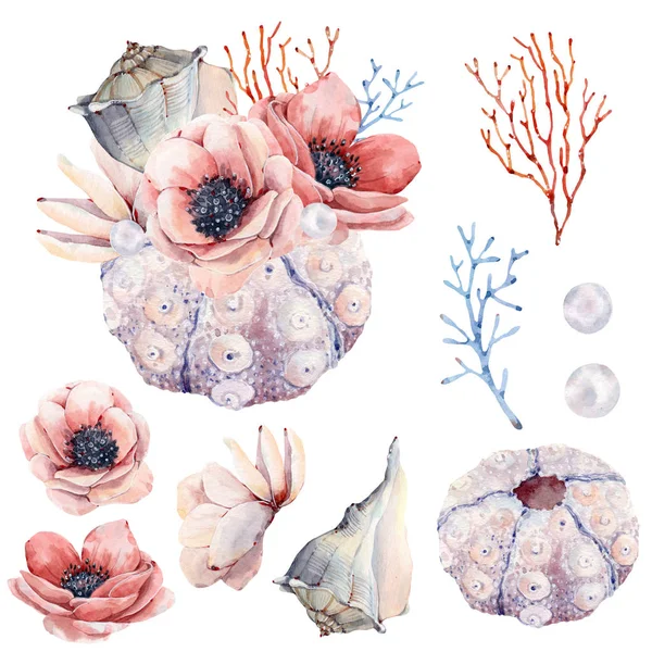 Watercolor nautical collection. — 스톡 사진