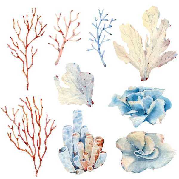Watercolor nautical collection. — 스톡 사진