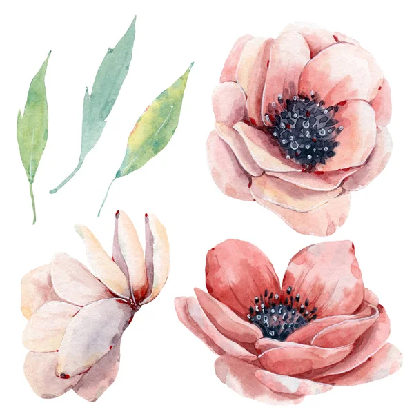 Handpainted watercolor flowers set in vintage style. — 스톡 사진