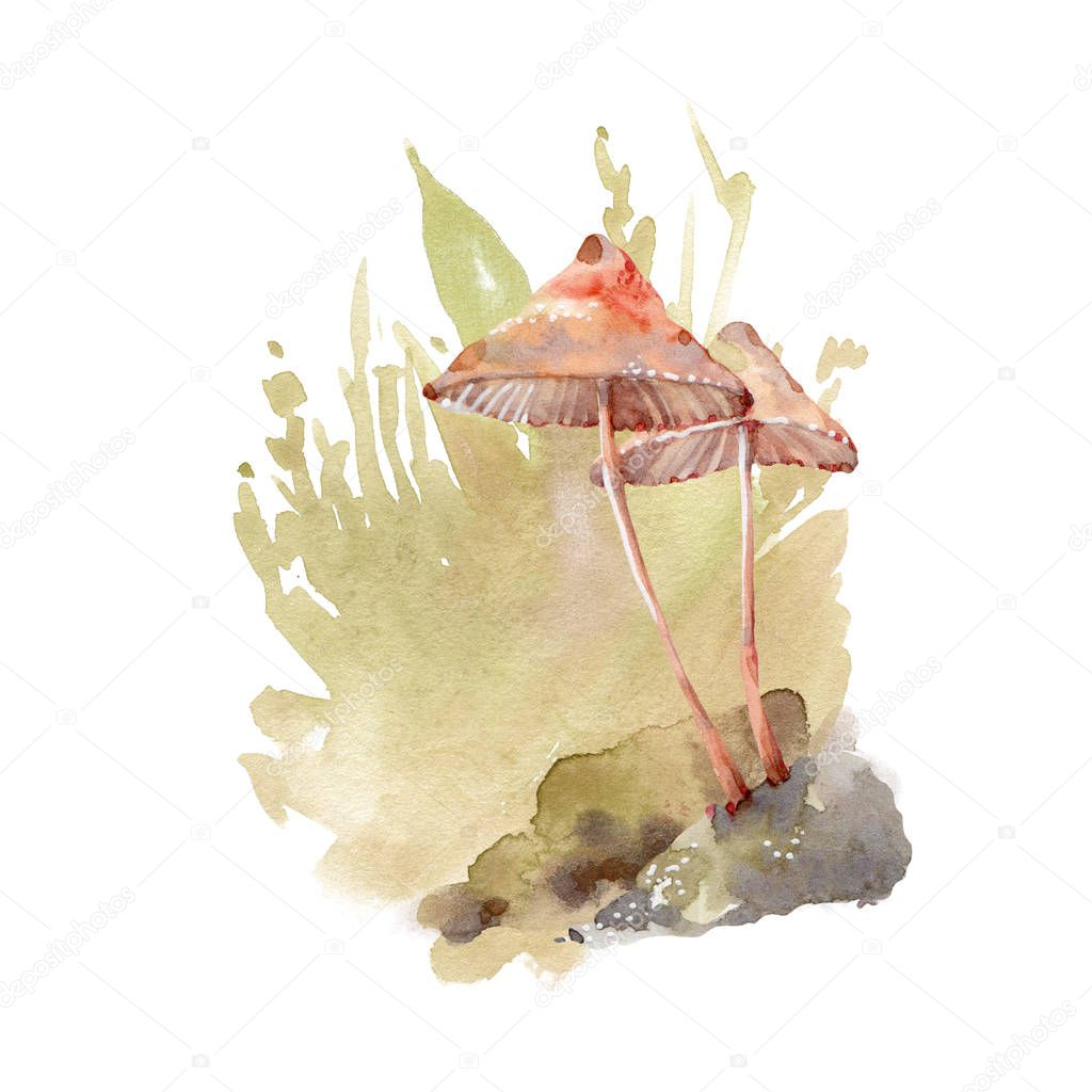 Watercolor mushroom.