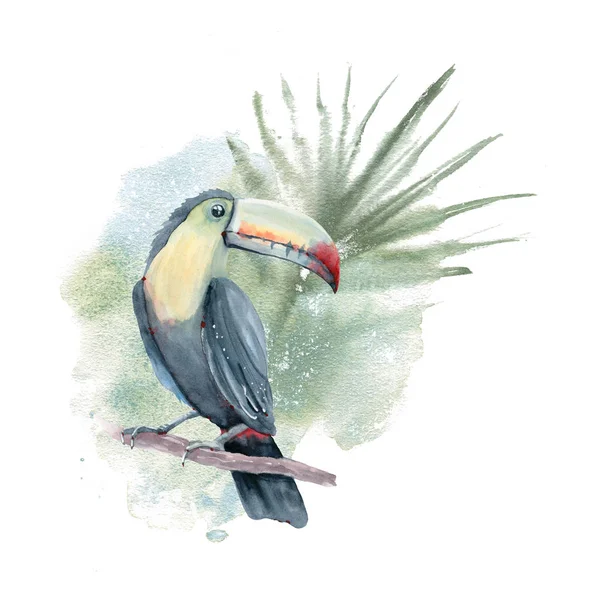 Carte toucan aquarelle . — Photo