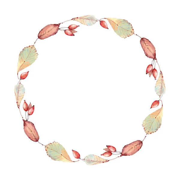 Elegante aquarela folhas círculo quadro — Fotografia de Stock