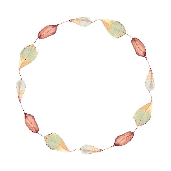 Елегантне листя акварелі рамка кола — стокове фото