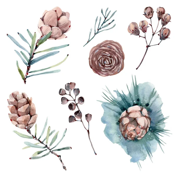 Watercolor flowers set in vintage style. — Stock Photo, Image