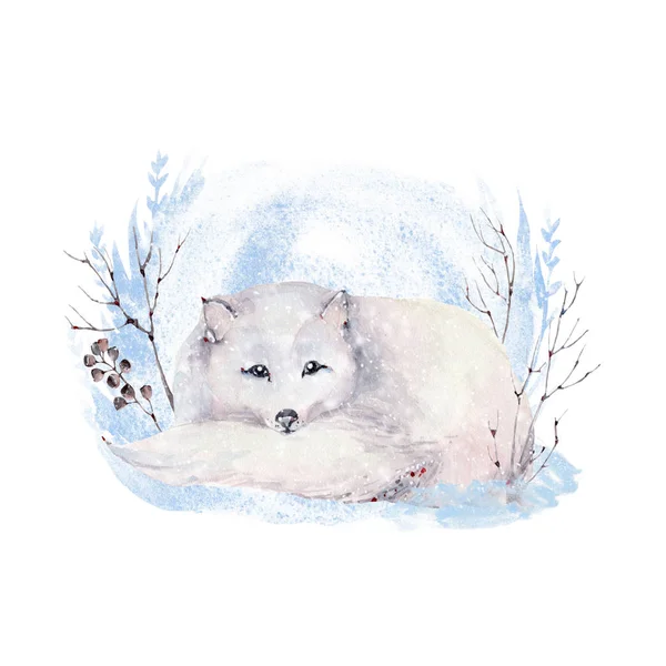 Akwarela Ilustracja ze zwierzęciem polarnym. — Zdjęcie stockowe