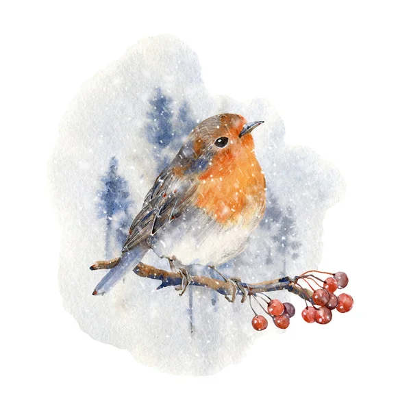 Illustration Oiseau Hiver Aquarelle Parfait Pour Imprimer Noël Cartes Voeux — Photo