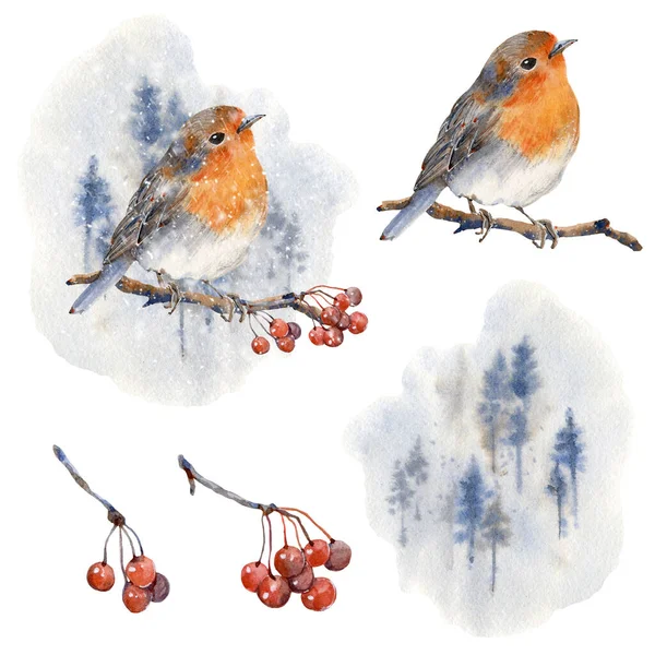 Illustrazione Uccelli Invernali Acquerello Perfetto Stampa Natale Auguri Capodanno — Foto Stock
