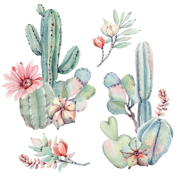 Aquarelle Peinte Main Succulents Ensemble Est Parfait Pour Les Cartes — Photo