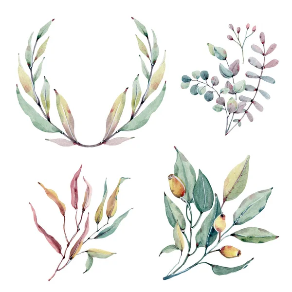 Kolekce Akvarel Listy Ideální Pro Karty Vzory Květiny Kompozice Rámečky — Stock fotografie