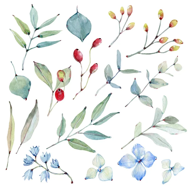 Akvarell Lämnar Samling Det Perfekt För Kort Mönster Blommor Kompositioner — Stockfoto