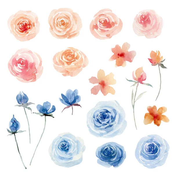 Flores Acuarela Pintadas Mano Estilo Vintage Perfecto Para Tarjetas Felicitación —  Fotos de Stock