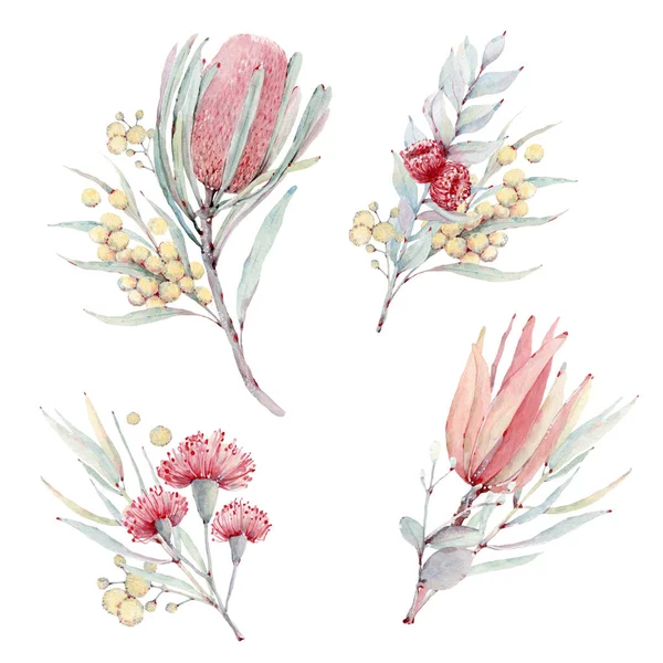 Flores Pintadas Mão Aquarela Definido Estilo Vintage Perfeito Para Cartões — Fotografia de Stock