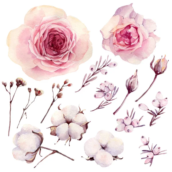 Aquarelle Peinte Main Fleurs Australiennes Ensemble Est Parfait Pour Les — Photo