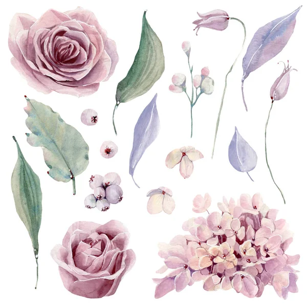 Acuarela Pintada Mano Conjunto Flores Australianas Perfecto Para Tarjetas Felicitación —  Fotos de Stock