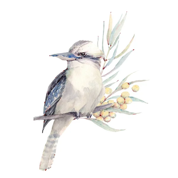 Ilustração Pássaro Aquarela Vida Selvagem Austrália Perfeito Para Cartazes Cartões — Fotografia de Stock