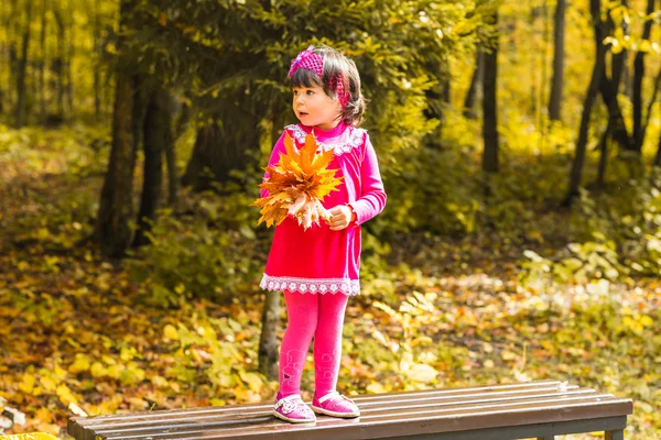 Niña en el parque de otoño —  Fotos de Stock