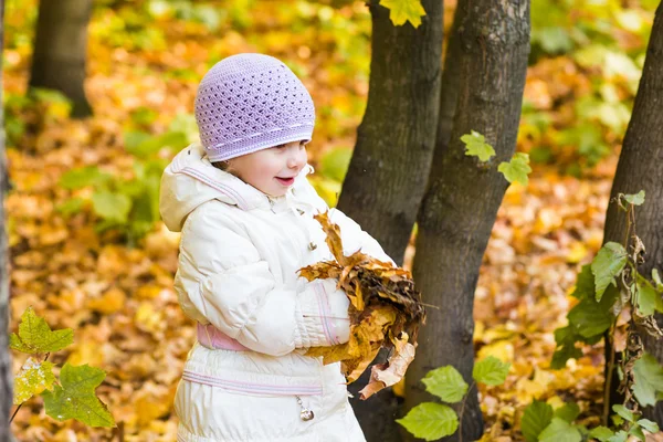Niño feliz, niña jugando en el otoño en la naturaleza caminar al aire libre —  Fotos de Stock
