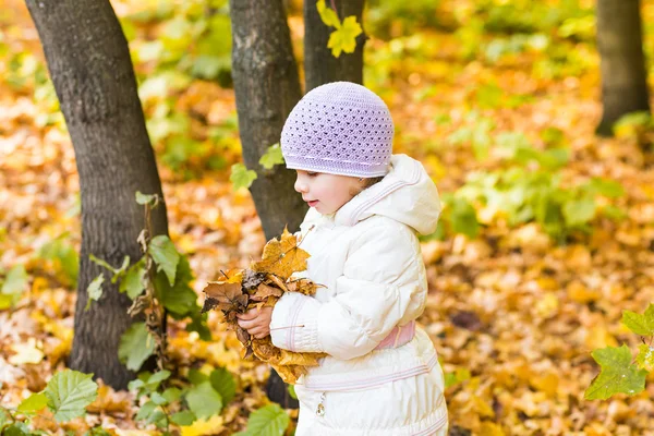 Niña con hojas de otoño en el parque —  Fotos de Stock