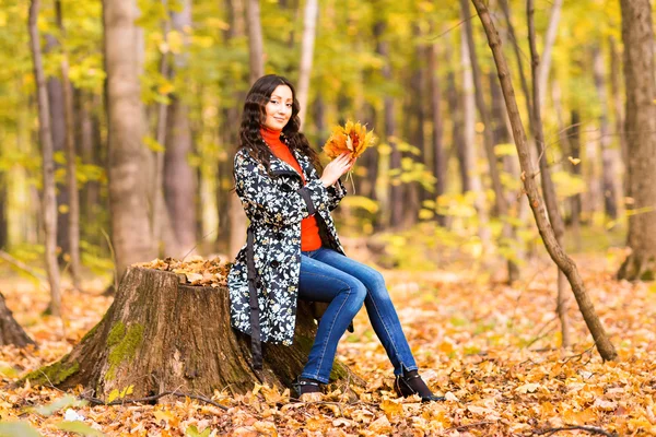 Jesienny park, piękne uśmiechnięta kobieta i objętych żółty odchodzi — Zdjęcie stockowe