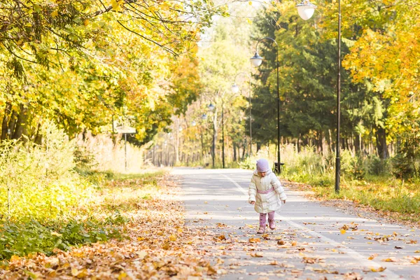 Pequena menina no parque de outono — Fotografia de Stock