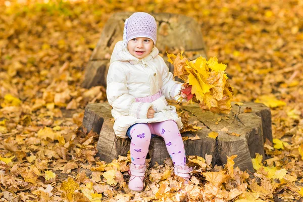 Pequena menina com folhas de outono — Fotografia de Stock