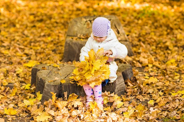 Pequena menina com folhas de outono — Fotografia de Stock