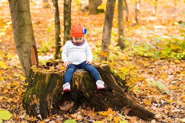 Söt liten flicka i höstskogen — Stockfoto