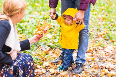 Baba ve küçük oğlu sonbahar parkta eğleniyor