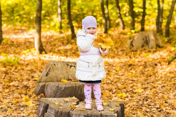 Retrato de niña feliz jugando con hojas amarillas de otoño en el fondo natural del parque al aire libre —  Fotos de Stock