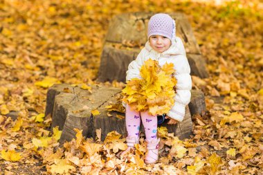 Güzellik parkında sonbahar yaprakları olan sevimli küçük kız.