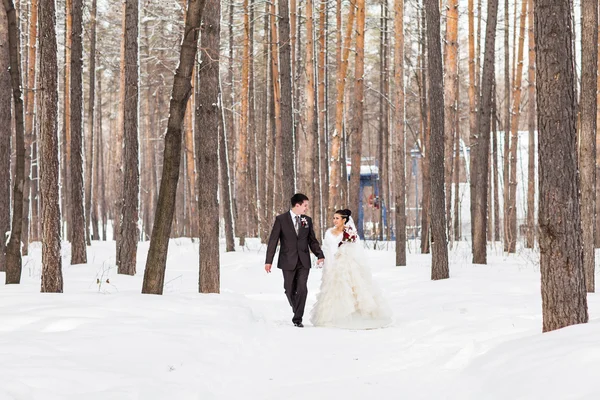 Зимове весілля. Красива молода пара в лісі . — стокове фото