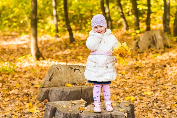 Adorable niña con hojas de otoño en el parque de belleza —  Fotos de Stock