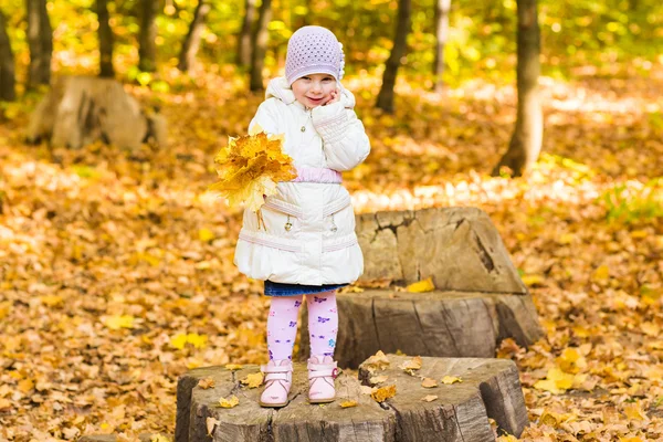 Adorabile bambina con foglie autunnali nel parco di bellezza — Foto Stock