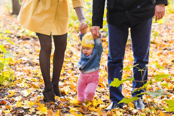 Glad ung familj med deras dotter spendera tid utomhus i parken hösten. — Stockfoto