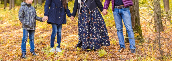 Крупним планом сімейна група відпочиває на відкритому повітрі восени пейзаж — стокове фото