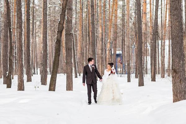 Bröllop i vinter. Nygifta i snöig park — Stockfoto
