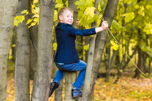 Garoto sorridente subiu em uma árvore no parque — Fotografia de Stock