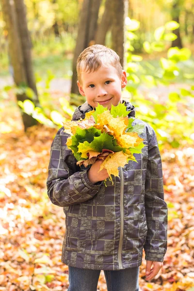 Handsome little boy in sunny autumn park with maple leaves — ストック写真