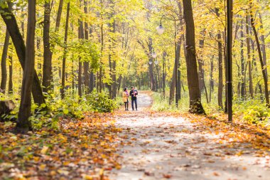 aşk, ebeveynlik, Aile, sezon ve insanlar kavramı - çift bebek sonbahar Park ile gülümseyen