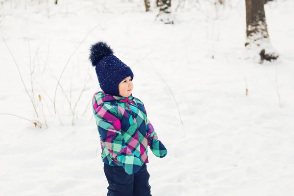Маленькая девочка в зимней одежде в снежном лесу на фоне снежинок — стоковое фото