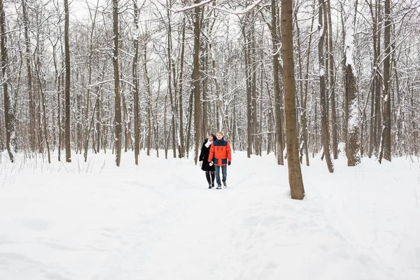 Um casal amoroso a passear no parque de Inverno. Nevando, inverno . — Fotografia de Stock