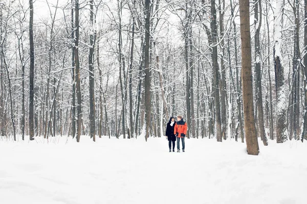 Egy szerető pár téli park séta. Hull a hó, tél. — Stock Fotó