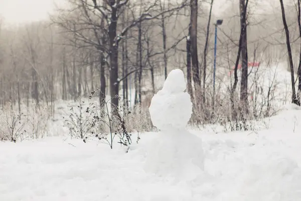 Pupazzo di neve in piedi nel paesaggio invernale — Foto Stock