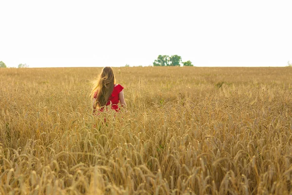 Meisje in de rode jurk op het veld. Achteraanzicht — Stockfoto