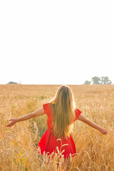 Mujer joven con los brazos extendidos está disfrutando en el soleado día de verano u otoño, vista trasera —  Fotos de Stock