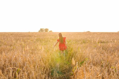 Yaz sahada güneşli gün, arka görüş yürüyüş Kırmızı elbiseli genç kadın. Kavramı mutluluk ve kaygısız