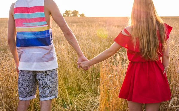Mladý pár, drželi se za ruce v poli pšenice slunné letní den, zadní pohled — Stock fotografie